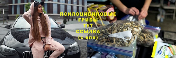 стаф Лиски
